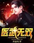医武无双小说