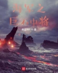 海军之巨石中将
