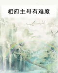 相府主母不好当新浪