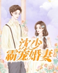 沈少霸宠婚妻