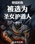 刚猛的我被选为圣女护道人