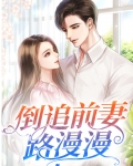 倒追前妻路漫漫