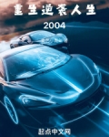 重生：逆袭人生2004