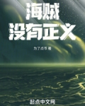 海贼:没有正义之力