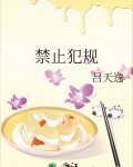 禁止犯规百度网盘txt资源