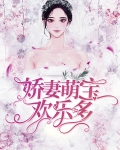 娇妃萌宝欢乐多