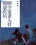 婚途有坑:顾少宠妻入骨