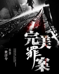完美罪案免费完整版