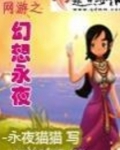 网游之幻想永夜txt