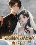 与总裁协议结婚后离不了了