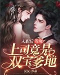 入职后,发现上司竟是双宝爹地