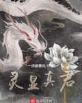 灵显真君txt