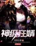 都市之神级狂婿