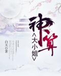 神算大小姐起点中文网