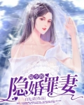 陆少的隐婚罪妻