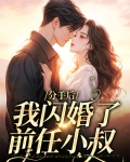 分手后我闪婚了前任小叔