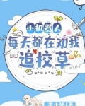 小机器人每天都在劝我追校草