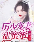 一胎三宝：厉少宠妻甜蜜蜜