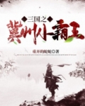 三国之冀州小霸王 第210章