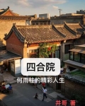 四合院：何雨柱的精彩人生
