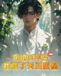 离婚三年后，我成了天王巨星