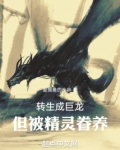 转生成巨龙，但被精灵眷养