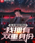 在无限世界中，我拥有双重身份