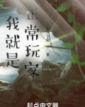 我就是正常玩家！