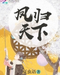 凤归天下