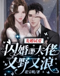 先婚试爱：闪婚后大佬又野又浪