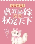 宠妾灭妻？虐渣高嫁我被权宠天下