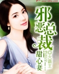 邪恶总裁甜心妻