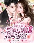 离婚无效，禁欲总裁黏着我叫宝宝