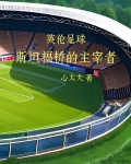英伦足球：斯坦福桥的主宰者