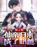 仙帝归来当奶爸全文免费阅读