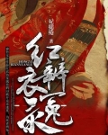 红衣辨冤录好看吗