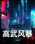 高武风暴
