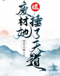 惊!废材她捶了天道