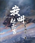 我叫赵无言