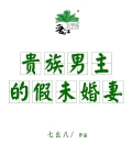 贵族男主的假未婚妻