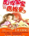 冷王狂妃：彪悍宝宝痞娘亲