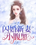 闪婚新妻有点甜免费阅读全文