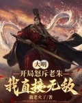 大明王朝的将军