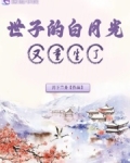 世子的白月光小说