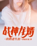 战神龙婿的奶爸生涯
