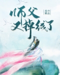 师父又掉线了讲了什么