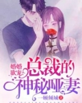 婚婚欲宠：总裁的神秘哑妻