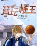 篮坛梗王txt