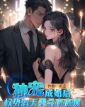 独宠，成婚后权势滔天墨总夜夜撩