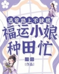 逃荒路上不缺粮,福运小娘种田忙 胭回